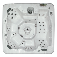 Спа бассейн Coyote Spa Maricopa