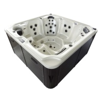 Гидромассажный спа-бассейн Delfi Spa Dikson