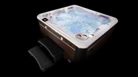 Гидромассажный спа бассейн Hydropool Self-Cleaning 495 Platinum
