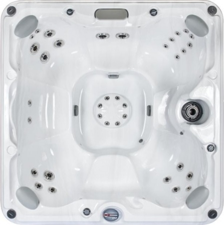 Спа бассейн Sundance Spas Edison