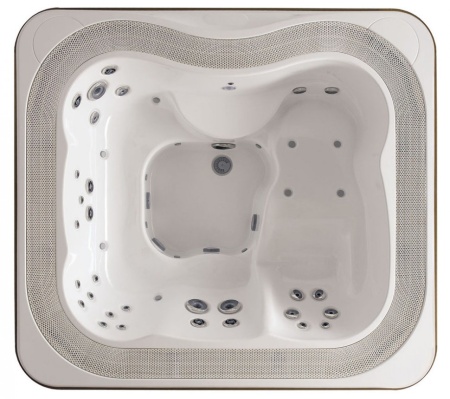 Спа бассейн Jacuzzi Profile PRO base Professional